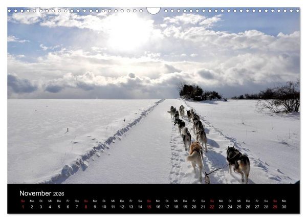 Produktbild: Sibirische Huskys aus Deutschland (Wandkalender 2026 DIN A3 quer), CALVENDO Monatskalender