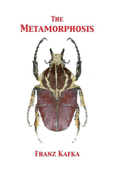 Produktbild: The Metamorphosis