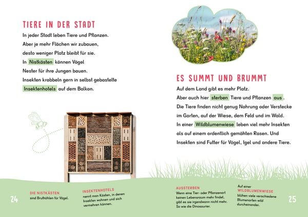 Produktbild: Dein Lesestart - Umwelt
