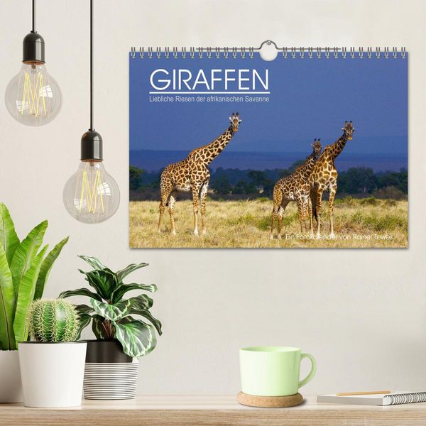 Produktbild: GIRAFFEN - Liebliche Riesen der afrikanischen Savanne (Wandkalender 2026 DIN A4 quer), CALVENDO Monatskalender