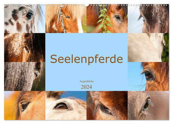 Seelenpferde - Augenblicke (Wandkalender 2024 DIN A2 quer), CALVENDO Monatskalender