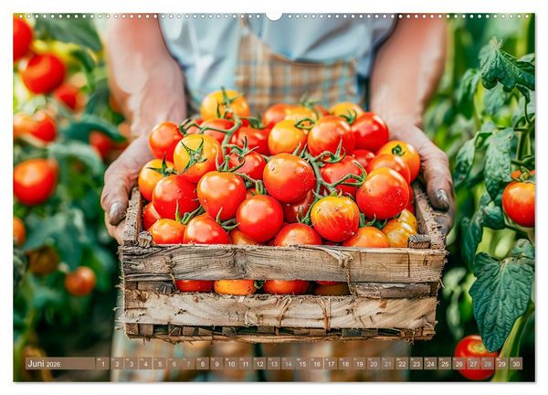 Produktbild: Mein Gem&uuml;segarten - Ein Jahr knackig frisches Gem&uuml;se (hochwertiger Premium Wandkalender 2026 DIN A2 quer), Kunstdruck in Hochglanz