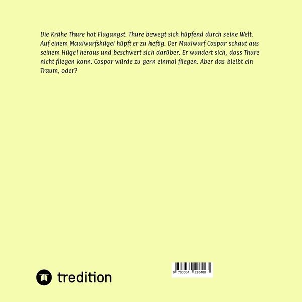 Produktbild: Thure und Caspar Zwei mutige Wiesenflieger