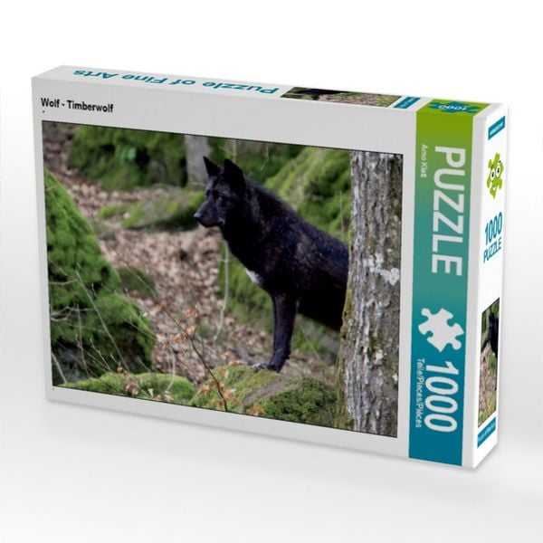 CALVENDO Puzzle Wolf - Timberwolf | 1000 Teile Lege-Größe 64x48cm Foto-Puzzle für glückliche Stunden