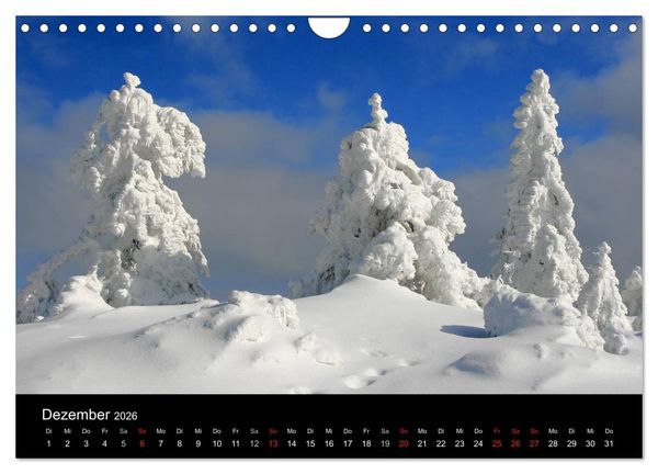 Produktbild: Mein Ortenaukalender 2026 (Wandkalender 2026 DIN A4 quer), CALVENDO Monatskalender