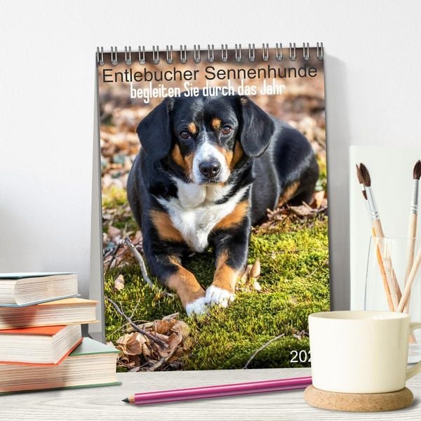 Produktbild: Entlebucher Sennenhunde begleiten Sie durch das Jahr (Tischkalender 2026 DIN A5 hoch), CALVENDO Monatskalender