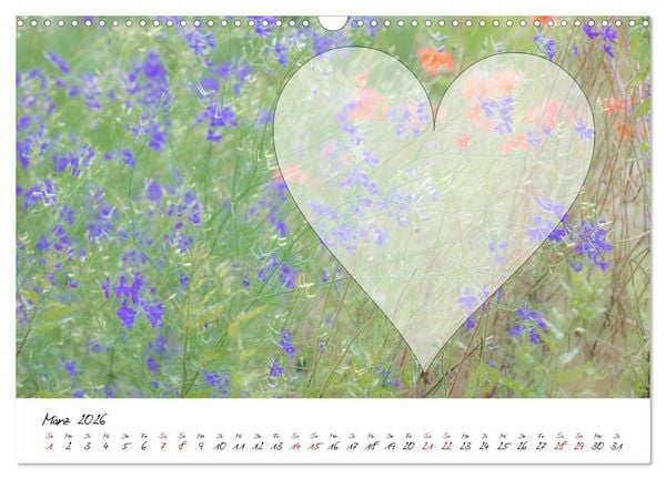 Produktbild: Blauer Bl&uuml;tentraum - Bastelkalender (Wandkalender 2026 DIN A3 quer), CALVENDO Monatskalender