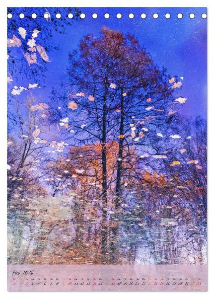 Produktbild: Wo der Wald tr&auml;umt (Tischkalender 2026 DIN A5 hoch), CALVENDO Monatskalender