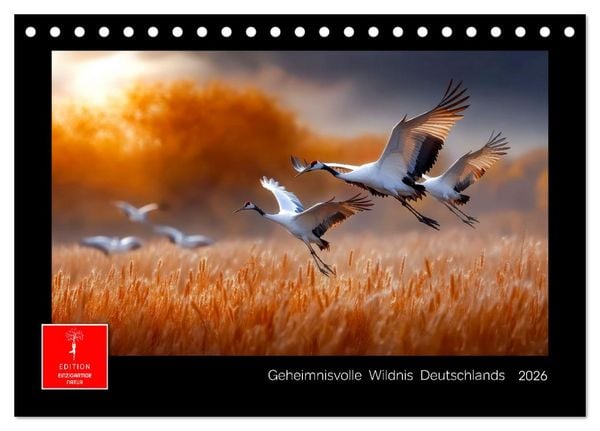 Geheimnisvolle Wildnis Deutschlands (Tischkalender 2026 DIN A5 quer), CALVENDO Monatskalender