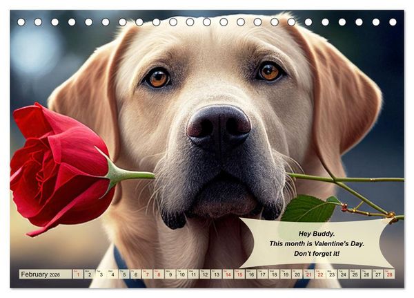 Produktbild: Great fun for Labrador lovers (Desk Calendar 2026 DIN A5 landscape), CALVENDO 12 Month DeskCalendar