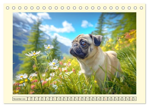 Produktbild: Mops trifft Berglust. Fidele Gipfelst&uuml;rmer im H&ouml;henrausch (Tischkalender 2026 DIN A5 quer), CALVENDO Monatskalender