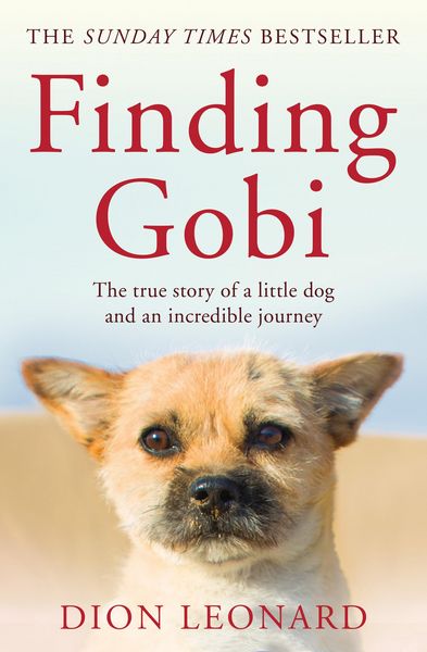 Produktbild: Finding Gobi (Main Edition)