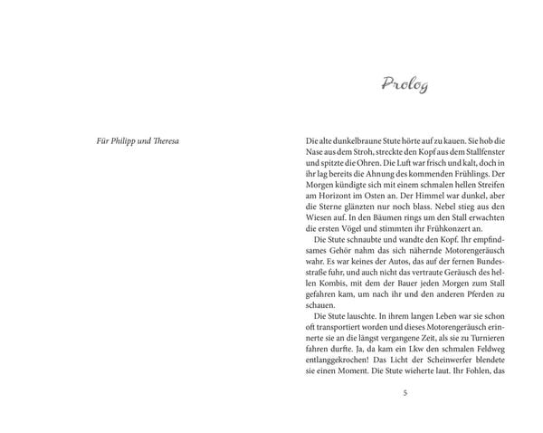 Produktbild: Elena – Ein Leben für Pferde 2: Sommer der Entscheidung