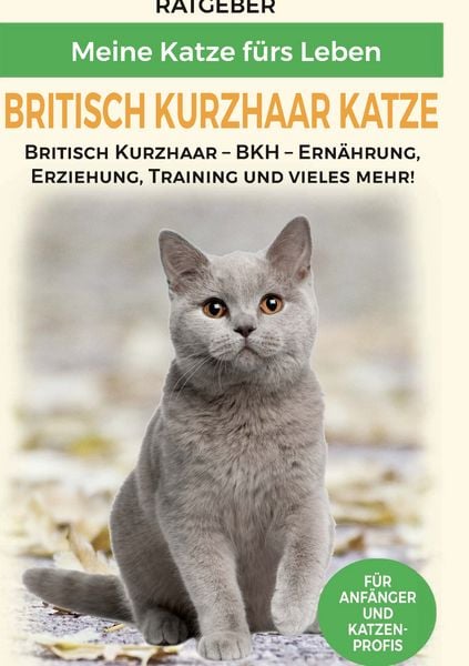 Britisch Kurzhaar Katze, Gebundene Ausgabe von Meine Katze fürs Leben Ratgeber, BoD – Books on Demand, 9783752686661