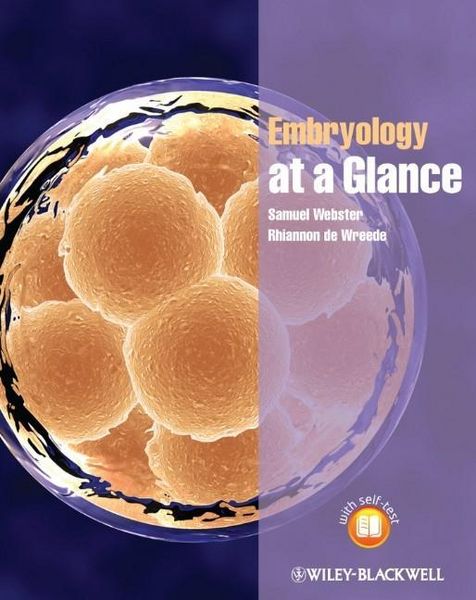 Produktbild: Embryology at a Glance