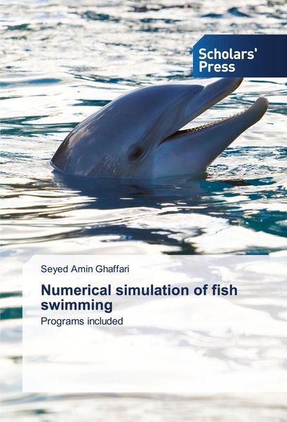 Produktbild: Numerical simulation of fish swimming