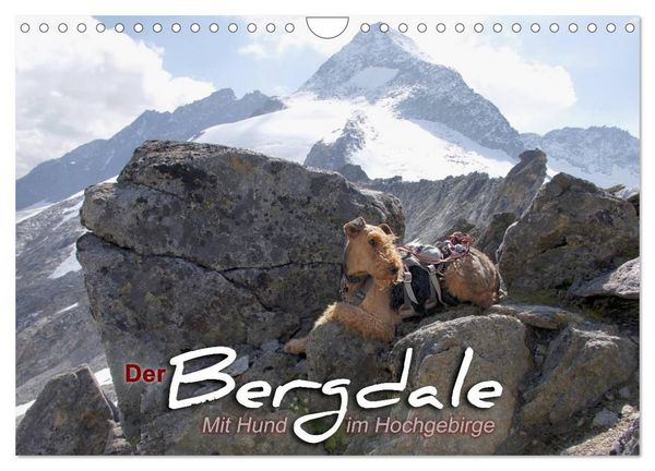 Produktbild: Der Bergdale - mit Hund im Hochgebirge (Wandkalender 2026 DIN A4 quer), CALVENDO Monatskalender