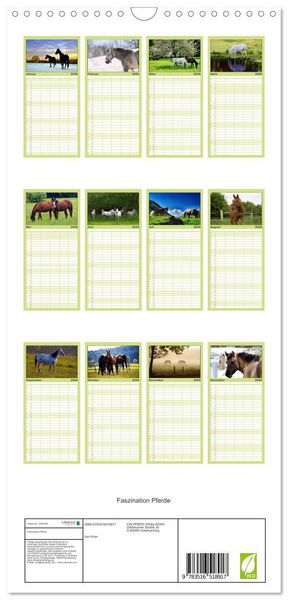 Produktbild: Familienplaner 2026 - Faszination Pferde mit 5 Spalten (Wandkalender, 21 x 45 cm) CALVENDO