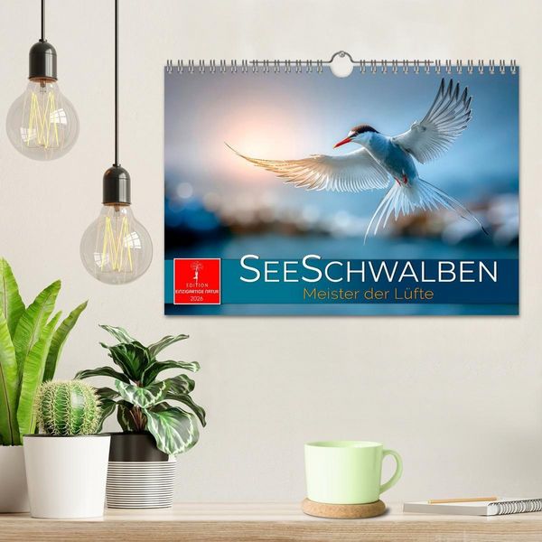 Produktbild: Seeschwalben - Meister der L&uuml;fte (Wandkalender 2026 DIN A4 quer), CALVENDO Monatskalender