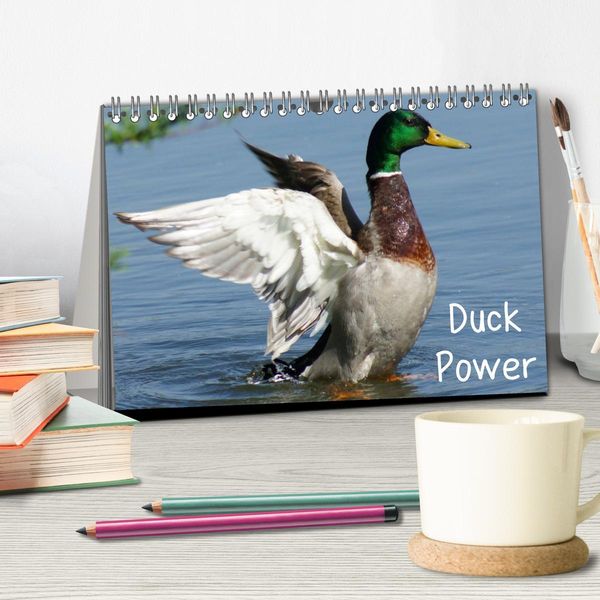 Produktbild: Duck Power (Tischkalender 2026 DIN A5 quer), CALVENDO Monatskalender