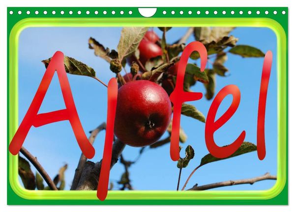 Apfel (Wandkalender 2024 DIN A4 quer), CALVENDO Monatskalender