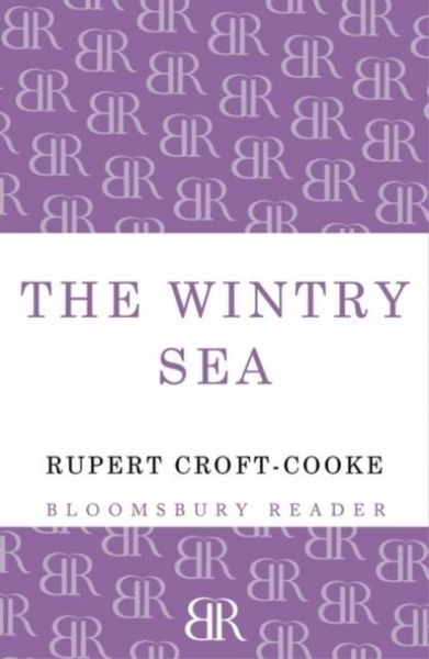 Produktbild: The Wintry Sea