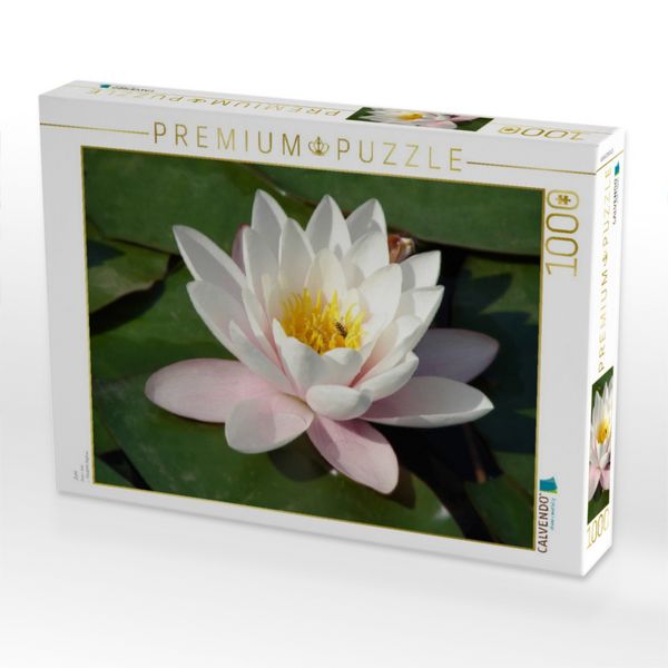 Produktbild: CALVENDO Puzzle Juni | 1000 Teile Lege-Gr&ouml;&szlig;e 64x48cm Foto-Puzzle f&uuml;r gl&uuml;ckliche Stunden