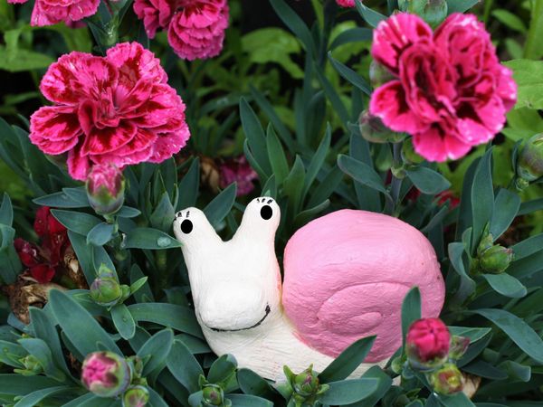 Produktbild: CALVENDO Puzzle Die Schnecke im Garten 1000 Teile Lege-Gr&ouml;&szlig;e 64 x 48 cm Foto-Puzzle Bild von Sabine Hampe-Neves