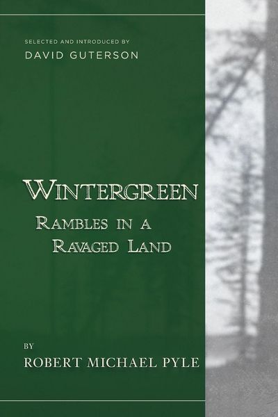 Produktbild: Wintergreen