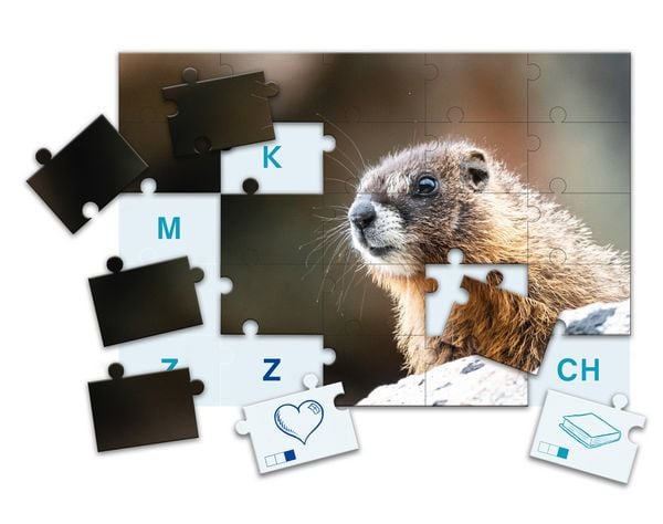 Produktbild: SCHUBI LesePuzzles