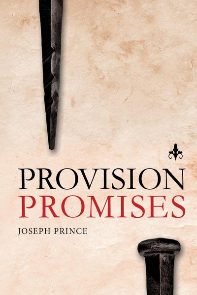 Produktbild: Provision Promises