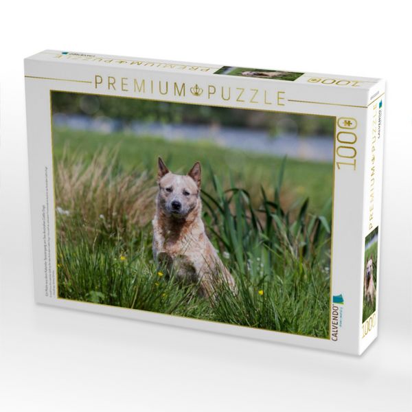 Produktbild: CALVENDO Puzzle Ein Motiv aus dem Kalender Spaziergang am See Australian Cattle Dogs | 1000 Teile Lege-Gr&ouml;&szlig;e 64x48cm Foto-Puzzle f&uuml;r gl&uuml;ckliche Stunden