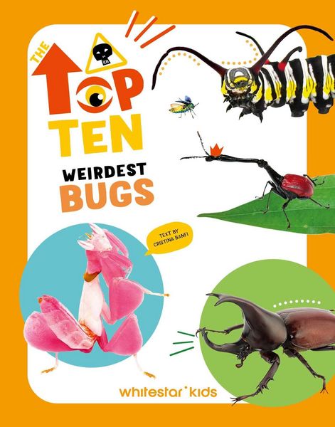 Produktbild: The Top Ten
