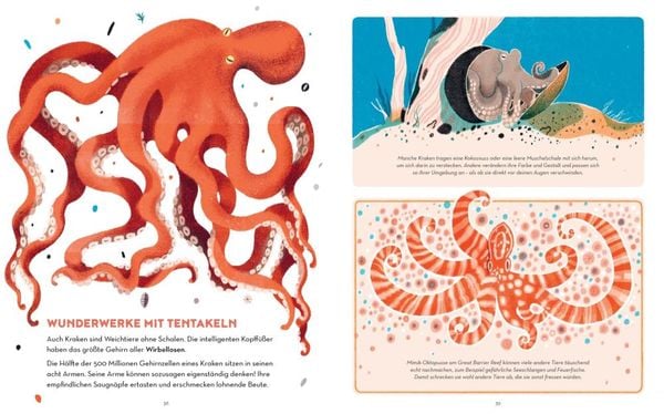 Produktbild: Das Great Barrier Reef