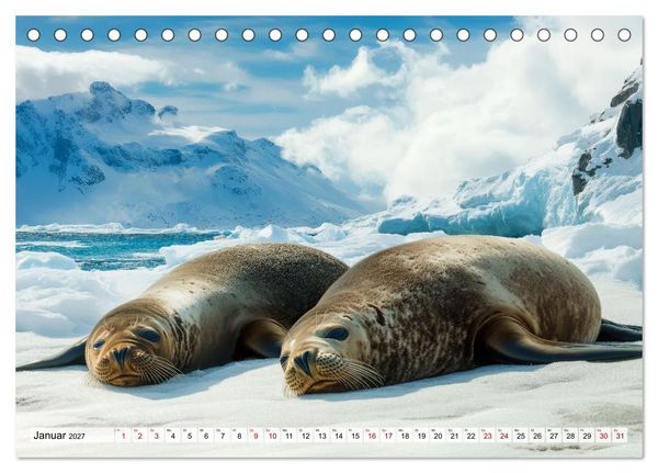 Produktbild: Faszination Robben - Zwischen Wellen und Weite (Tischkalender 2027 DIN A5 quer), CALVENDO Monatskalender