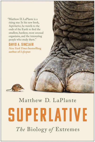 Produktbild: Superlative