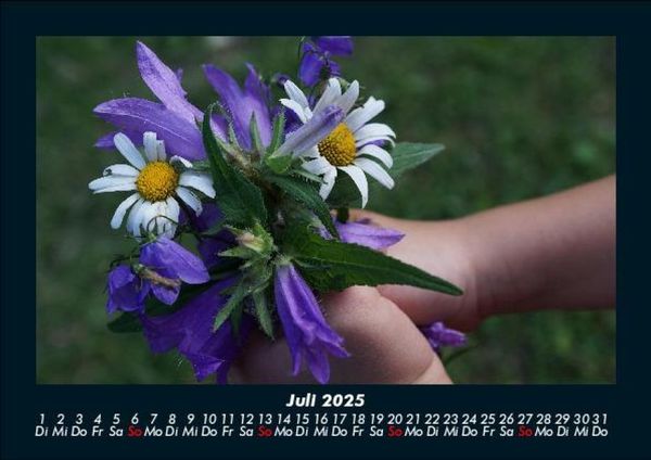 Produktbild: Blumentr&auml;ume 2025 Fotokalender DIN A5