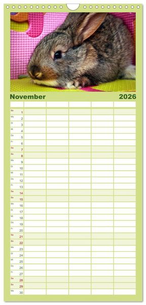 Produktbild: Familienplaner 2026 - Lustige Kaninchen mit 5 Spalten (Wandkalender, 21 x 45 cm) CALVENDO
