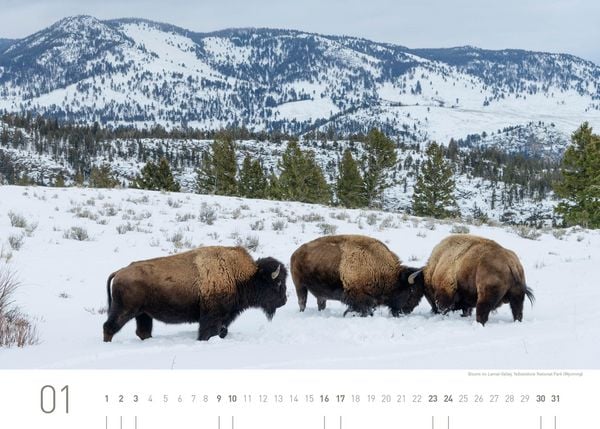 Produktbild: USA Exklusivkalender 2027