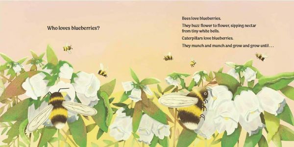 Produktbild: Who Loves Blueberries?