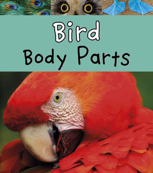 Produktbild: Bird Body Parts