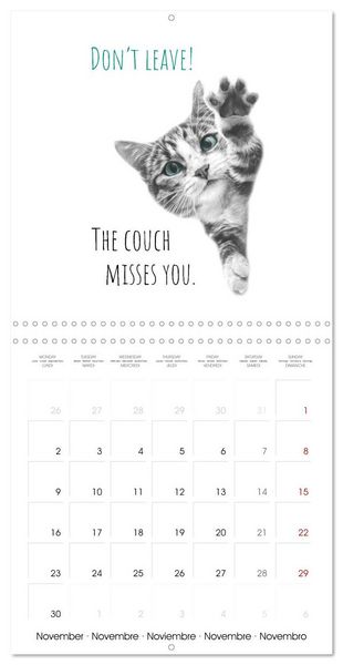 Produktbild: Purrfectly Cool Cats (Wall Calendar 2026 12 &times; 12 Inch) CALVENDO 12 Month Wall Calendar