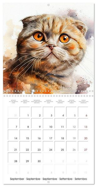 Produktbild: Cat Breeds in Watercolor (Wall Calendar 2026 12 &times; 12 Inch) CALVENDO 12 Month Wall Calendar