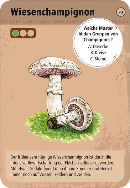 Produktbild: 50 heimische Pilze