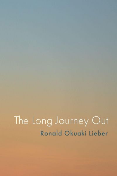 Produktbild: The Long Journey Out