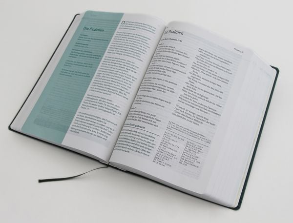 Produktbild: Die Bibel mit Impulsen von Joyce Meyer