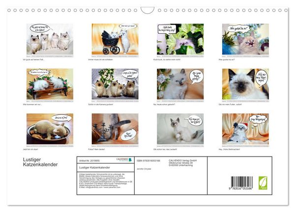 Produktbild: Lustiger Katzenkalender (Wandkalender 2026 DIN A3 quer), CALVENDO Monatskalender
