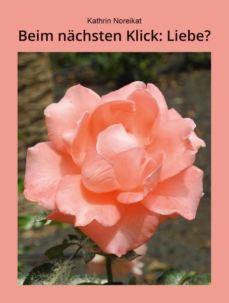 Produktbild: Beim n&auml;chsten Klick: Liebe?