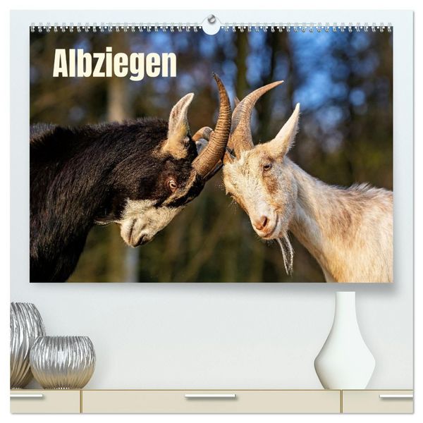 Produktbild: Albziegen (hochwertiger Premium Wandkalender 2027 DIN A2 quer), Kunstdruck in Hochglanz