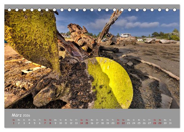 Produktbild: Wracks der Vergangenheit &ndash; Gestrandete Zeugen der Zeit (Tischkalender 2026 DIN A5 quer), CALVENDO Monatskalender